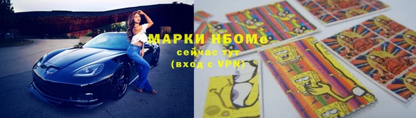 индика Арсеньев