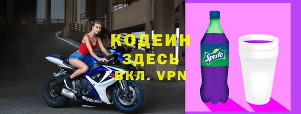 индика Арсеньев