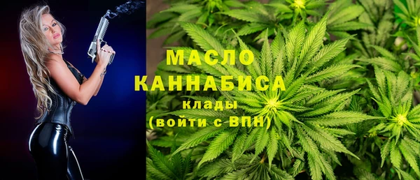 индика Арсеньев