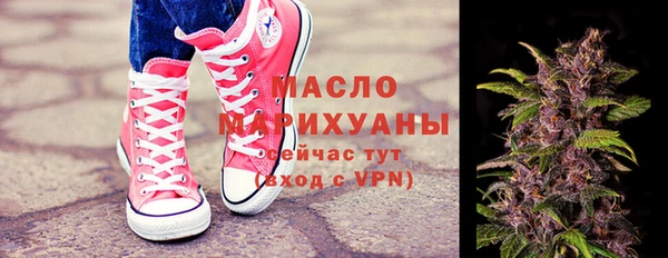 индика Арсеньев