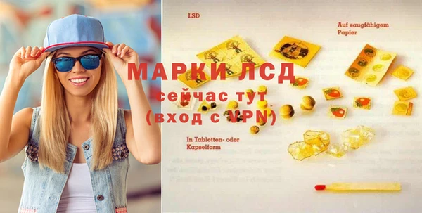 индика Арсеньев