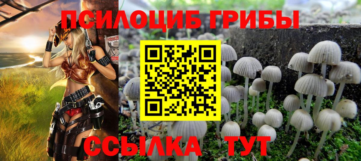 Галлюциногенные грибы ЛСД Лесной