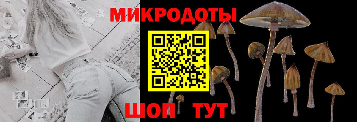 Галлюциногенные грибы Cubensis  Вход с VPN  наркотики  Лесной  Псилоцибиновые грибы Magic Shrooms 