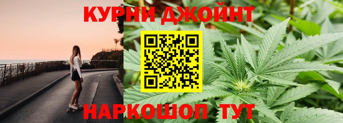 Каннабис план  Каннабис сатива  МАРИХУАНА Ganja  Вход с VPN  Лесной 